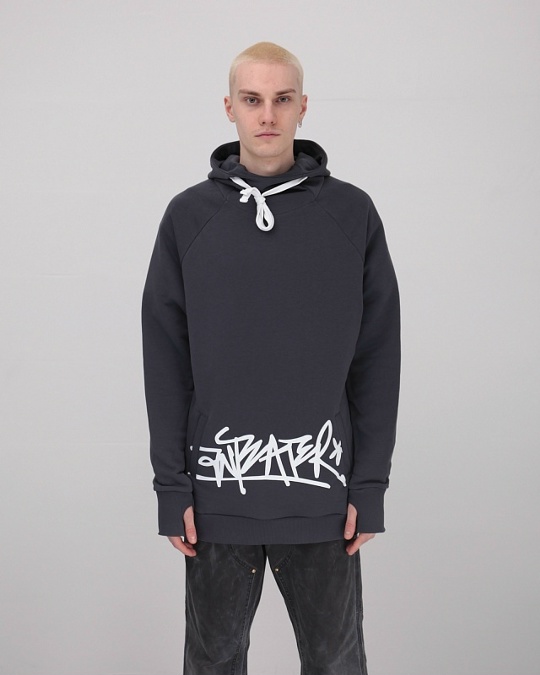Толстовка ANTEATER Hoodie Grey Tag