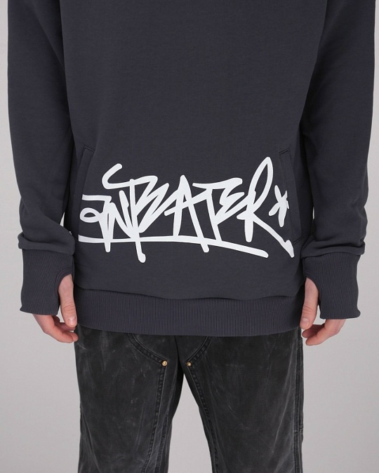 Толстовка ANTEATER Hoodie Grey Tag