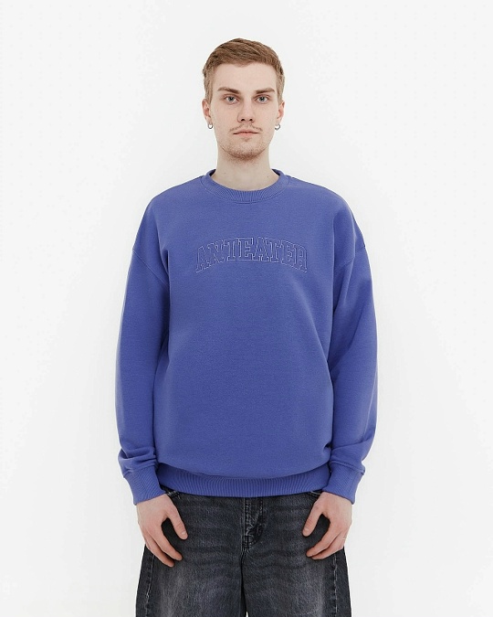 Толстовка ANTEATER Crewneck-Violet