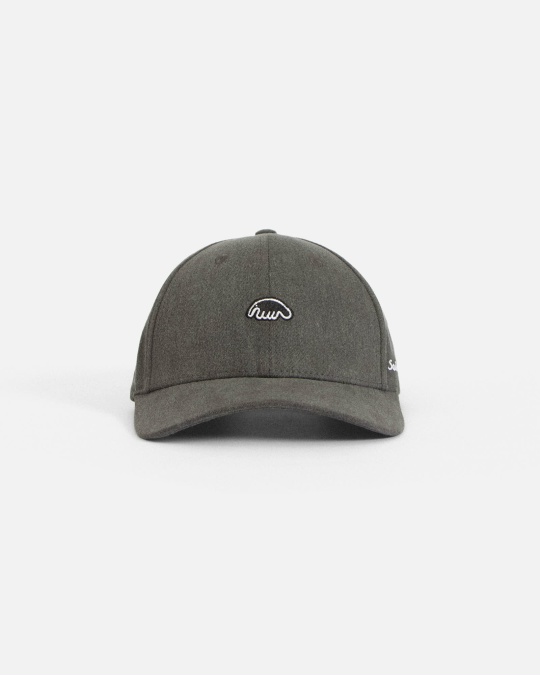 Кепка ANTEATER Baseball Grey