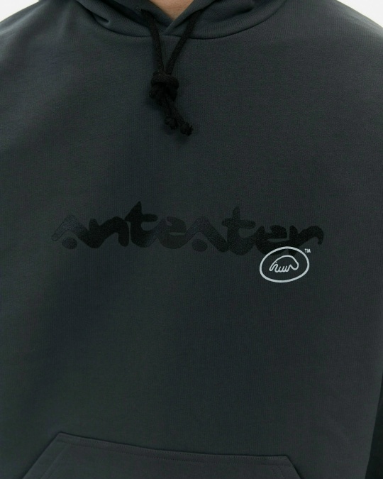 Толстовка ANTEATER Phat Hoodie Grey Logo