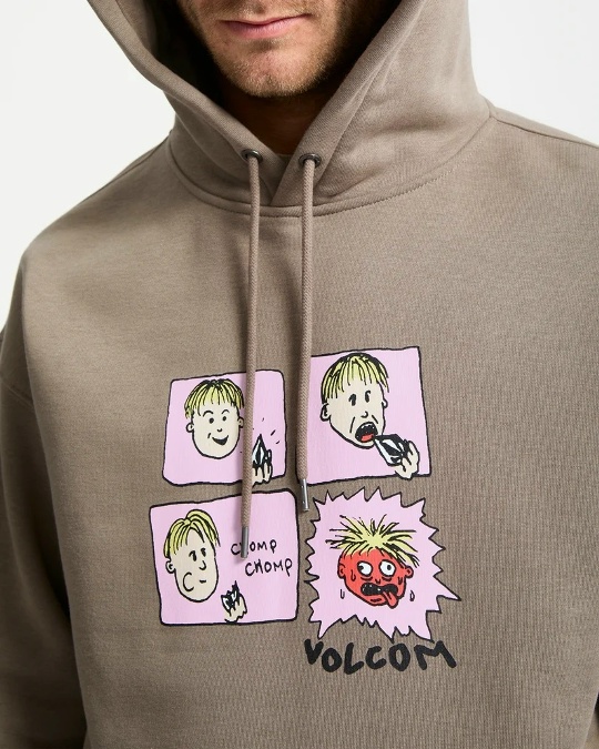 Толстовка VOLCOM Chomp Chomp PO Brindle