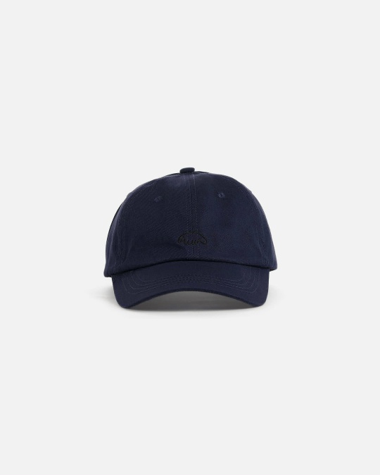 Кепка ANTEATER 6 Panel Navy