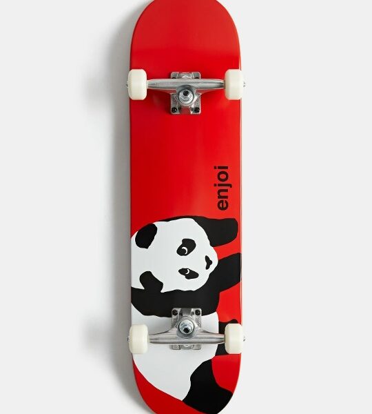 Скейт в сборе ENJOY Panda FP