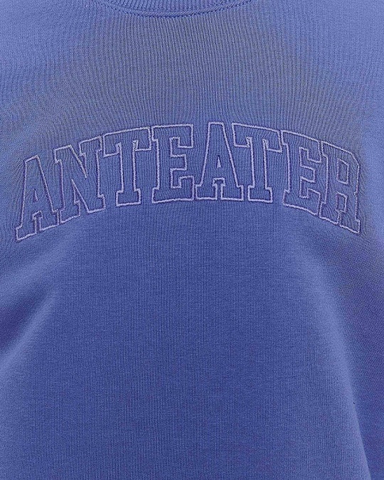 Толстовка ANTEATER Crewneck-Violet