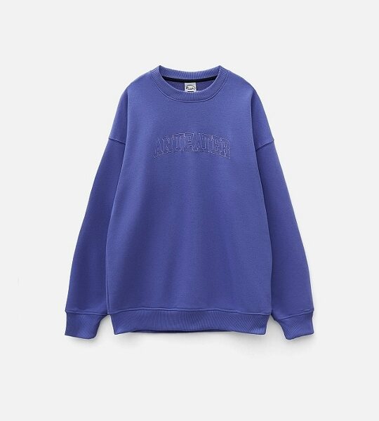 Толстовка ANTEATER Crewneck-Violet