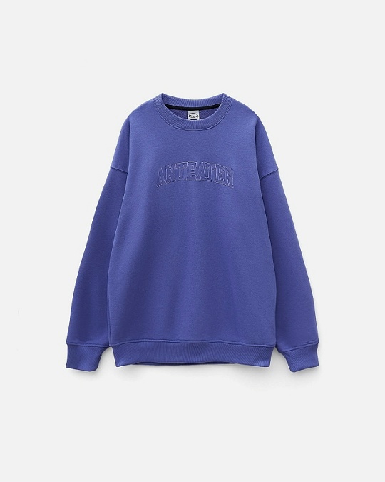 Толстовка ANTEATER Crewneck-Violet