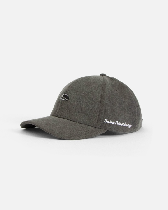 Кепка ANTEATER Baseball Grey