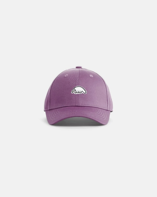 Кепка ANTEATER Baseball Violet