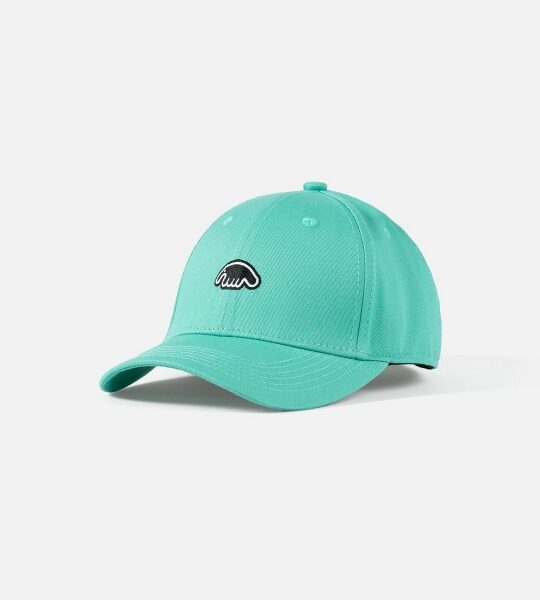 Кепка ANTEATER Baseball Mint