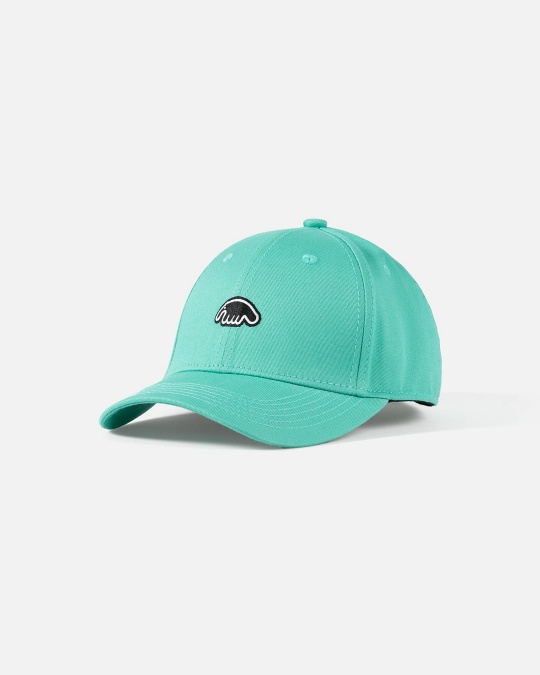 Кепка ANTEATER Baseball Mint