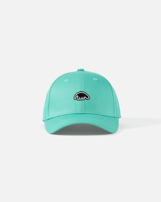Кепка ANTEATER Baseball Mint