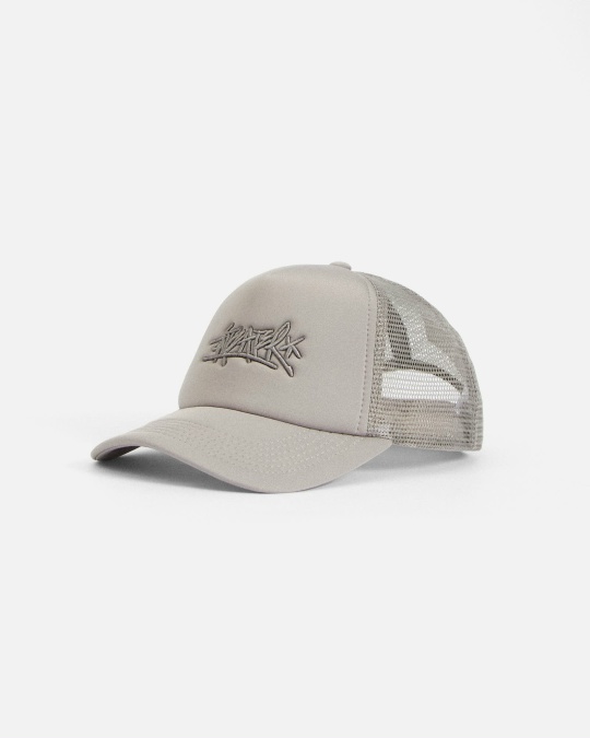 Кепка ANTEATER Trucker Grey