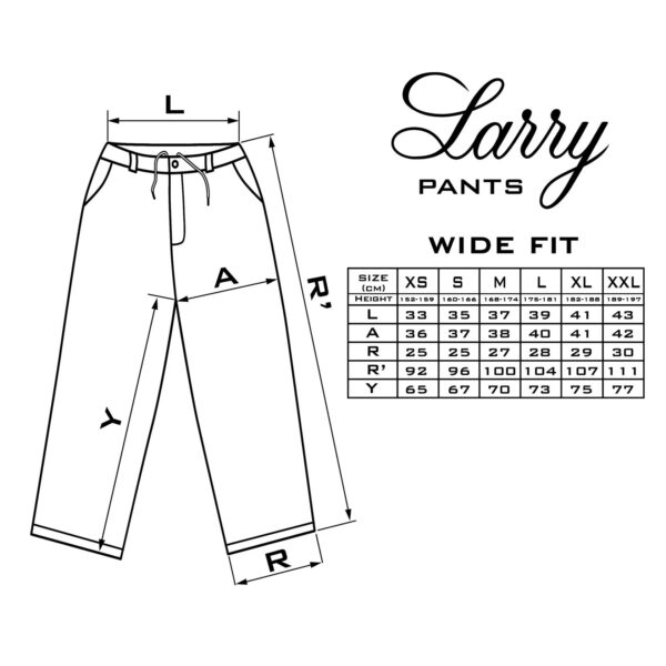 Брюки LARRY PANTS Wide Fit Black